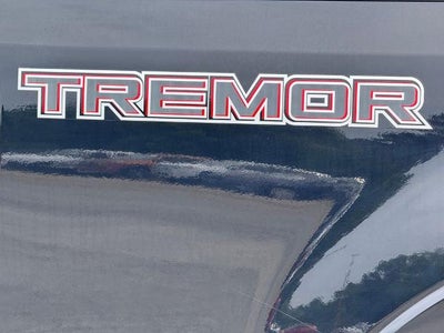 2020 Ford F-250SD Platinum
