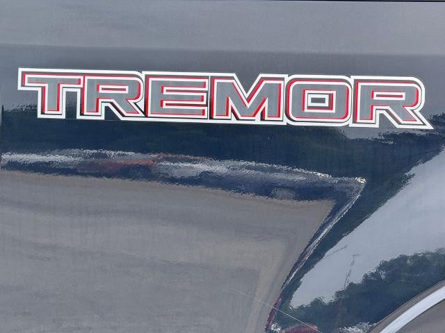 2020 Ford F-250SD Platinum